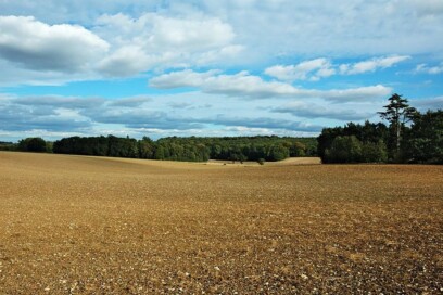 Fields and woods in the Gorhambury Estate (attribution Gary Houston)